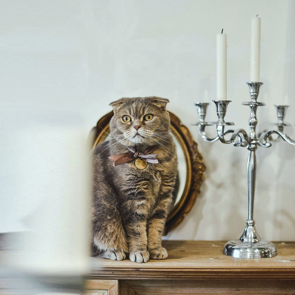 Gold Silver Metal Candelabrum for 5 Candles